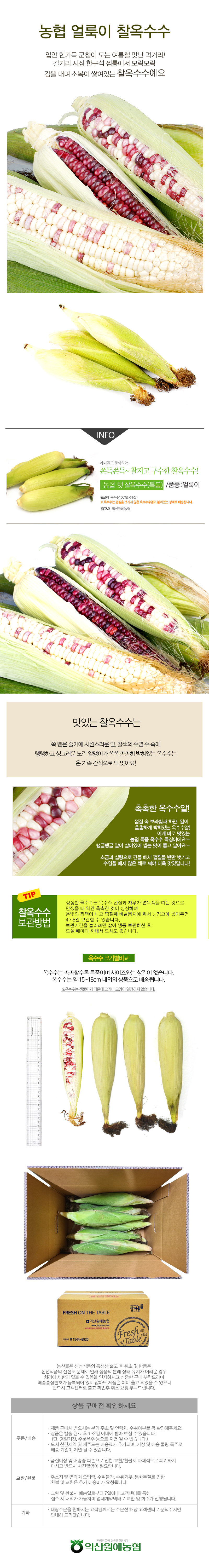 [농협] 한아름드린 미흑(얼룩이) 찰옥수수 10개/20개(특/15cm이상)