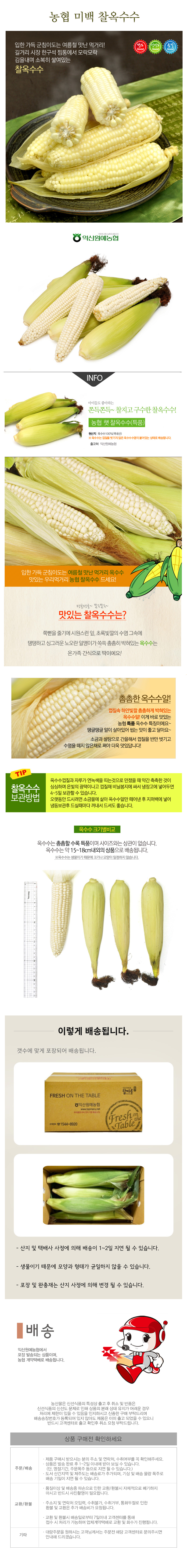 [농협] 한아름드린 미백 찰옥수수 10개/20개(특15cm이상)