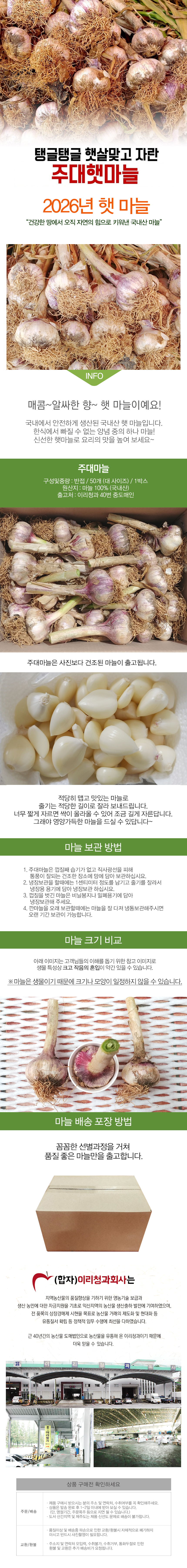 [뜰안애] 보석 햇 주대 마늘 반접 50개(대)