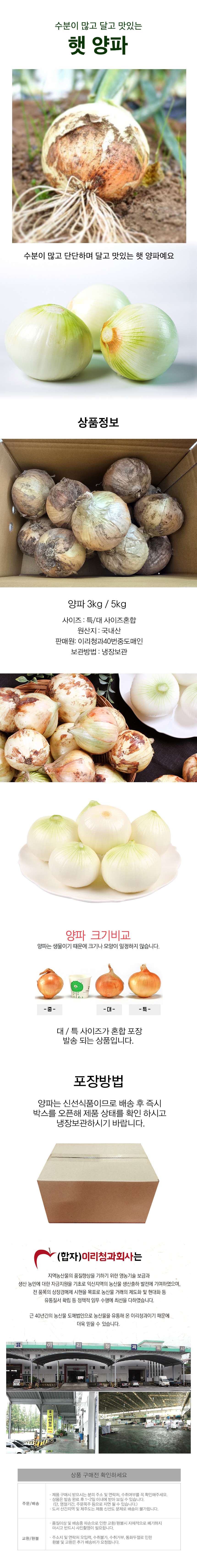 [뜰안애] 보석 양파 3kg(특/대 혼합)